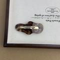Detail of tortoiseshell acetate snap clip with irregular wavy edges and gold base - Brown