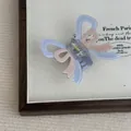 Dettaglio della pinza per capelli a fiocco blu e rosa in acetato opaco in una scatola - Blu Rosa
