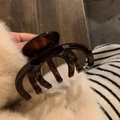Grande pinza per capelli in tartaruga ambrata per uno styling elegante da donna - Motivo di Zucca