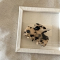 Elegant tortoiseshell acetate hair claw clip with gold label on beige fabric tray - Light Leopard