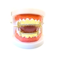Hip hop gold plated grillz set with AAA cubic zirconia fangs on white dental mold - Gold Set
