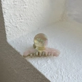 Detail of pearlescent acetate hair claw clip with golden France Handmade engraving - Pink Green Floral