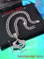 Iced out hip hop Cuban chain with square pendant and crystal rhinestones 50cm 104g - Pisces / Pendant Only / Silver