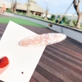 Pink seashell resin hair clip with pearl finish on white card held by hand - Oval Pink