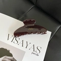 Elegant Morandi burgundy acetate hair claw clip with golden logo for sophisticated women - Burgundy