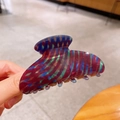 Elegante haarklem van acryl met kleurrijk geometrisch dambordpatroon en bloemmotief - Gestreept