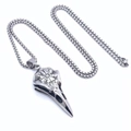 Collier crâne d'oiseau viking nordique avec pendentif boussole Vegvisir en acier argenté - Pendentif avec Chaîne de 60cm