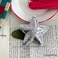 Pinza para el pelo con estrella de purpurina plateada sobre terciopelo verde oscuro - 4-Clip Estrella Paillettes Verde