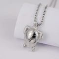Dettaglio ravvicinato del ciondolo a tartaruga d'argento con motivo a guscio geometrico - Solo Ciondolo (Senza Catena) / Argento