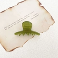 Grass green acetate hair claw clip with France Handmade text on vintage paper - Fruit Green