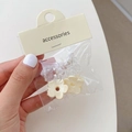 Set mit vier Mini-Blumen-Haarspangen in Cremeweiß und transparentem Harz für Damen - Blumen Transparent & Beige