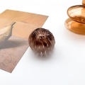 Expandable tortoise shell bird nest hair clip with brown resin finish for women - Gray