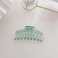 Elegante pinza per capelli grande in verde traslucido per donne su sfondo estetico curato - Verde (C942-3)