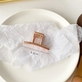 Minimalistische geometrische 4,5 cm Haarklammer aus roségoldenem Metall mit Feder - Klein / Roségold