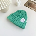 Thick mint green cable knit beanie for women with a vintage style fabric patch detail - Lake Green