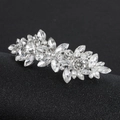 Macro-detail van zilveren paardenoog kristallen strass-steentjes op elegante haarclip - Zilver Volledige Strass Haarspeld