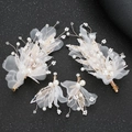 Set da 4 pezzi di fermagli per capelli da sposa con fiori in tulle bianco e perle su nero - Coppia di Mollette E Clip per Orecchie