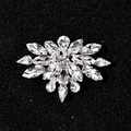 Clip per scarpe a fiocco di neve con cristalli e strass per scarpe da sposa - Pezzo Singolo / Argento