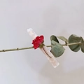 Handmade dried red rose resin hair clip on a minimalist eucalyptus branch display - Red Rose Specimen Style