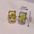 Handmade stainless steel rings with real green leaves in gold and silver resin settings - Rectangular Leaf Style (Gold)
