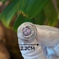 Detail view of 2.2CM handmade vintage ring with real dried pink flowers in silver frame - Round Spiral Pattern Pink Dried Flower (Style B)