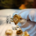 Macro shot of gold vintage ring featuring dried flowers and 1.7cm x 1cm oval pendant - Golden Oval Dried Flower Texture Style (Style G)