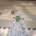 Macro-opname van handgemaakte harsring met echte groene droogbloemen en zilveren band - Groene Droogbloemen (Type D)