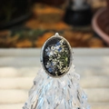 Detailed macro view of an oval dried flower ring with blue petals and white pearls - Black Silver