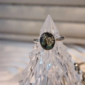 Detailed macro view of handmade oval ring with dried flowers and green leaves inside - Lace Flower