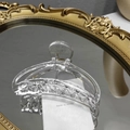 Primer plano de una pinza para el cabello grande y transparente con resorte de metal - Blanco Claro