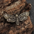 Macro detail of gothic skull moth brooch in vintage bronze on natural wood bark texture - Antique Gold