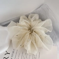 Detail of elegant organza hair scrunchie with pearls and ruffled texture on white backdrop - Beige
