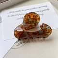 Detalle de una pinza para el pelo mediana en acetato con diseño de carey vintage - Tortoise