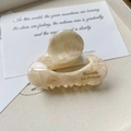 Detail of cream marble acetate hair claw clip with golden Barrette La France text - Off White