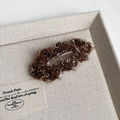 Detail shot of brown fuzzy plush fabric texture on a high-quality metal hair clip - Coffee Long Cloud Style