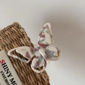 Detail of French acetate butterfly hair clip with marble pattern on a woven straw bag - Beige-Red-Green