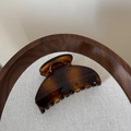 Vue détaillée d'une pince à cheveux en forme d'éventail ambre brillant sur plateau bois - Écaille de Tortue