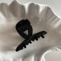 Détail du clip à cheveux en acétate noir brillant avec inscription dorée Barrette La France - Noir