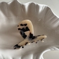 Détail de la pince à cheveux en acétate avec motif tortue dans un plat coquillage - Écaille Claire