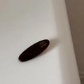 Macro detail of oval acetate hair clip with gold France Handmade lettering on dark surface - Dark Coffee