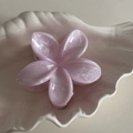 Makro-Detail einer rosa marmorierten Frangipani-Haarklammer auf einer Muschelschale - Rosa