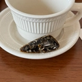 Elegant marble pattern acetate hair clip with gold France Handmade logo on a saucer - Black Coffee