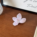 Détail d'une pince à cheveux papillon rose nacré ornée d'un strass central étincelant - 6cm / Violet Clair Iridescent