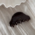 Dettaglio della molletta in acetato tartarugato con logo Barrette la France dorato - Etichetta Dorata Caffè