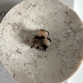 Mini pince à cheveux en forme de cœur en acétate avec motif écaille de tortue - Tortoise