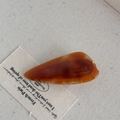 Detail of tortoise shell acetate hair clip with FRANCE Handmade engraving text - Light Coffee