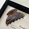 Detail of tortoiseshell acetate hair claw clip with Barrette La France gold lettering - Blue Brown