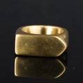Herren-Siegelring aus Titanstahl mit goldenem Bürstenfinish und flacher rechteckiger Fläche - US 7 / Gold