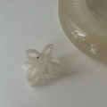 Vista dettagliata della pinza per capelli a farfalla in acetato bianco perlato con molla - Bianco