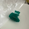 Dark green translucent acetate triangular hair claw clip with golden Amy Bear text - Dark Lake Green - Carrot